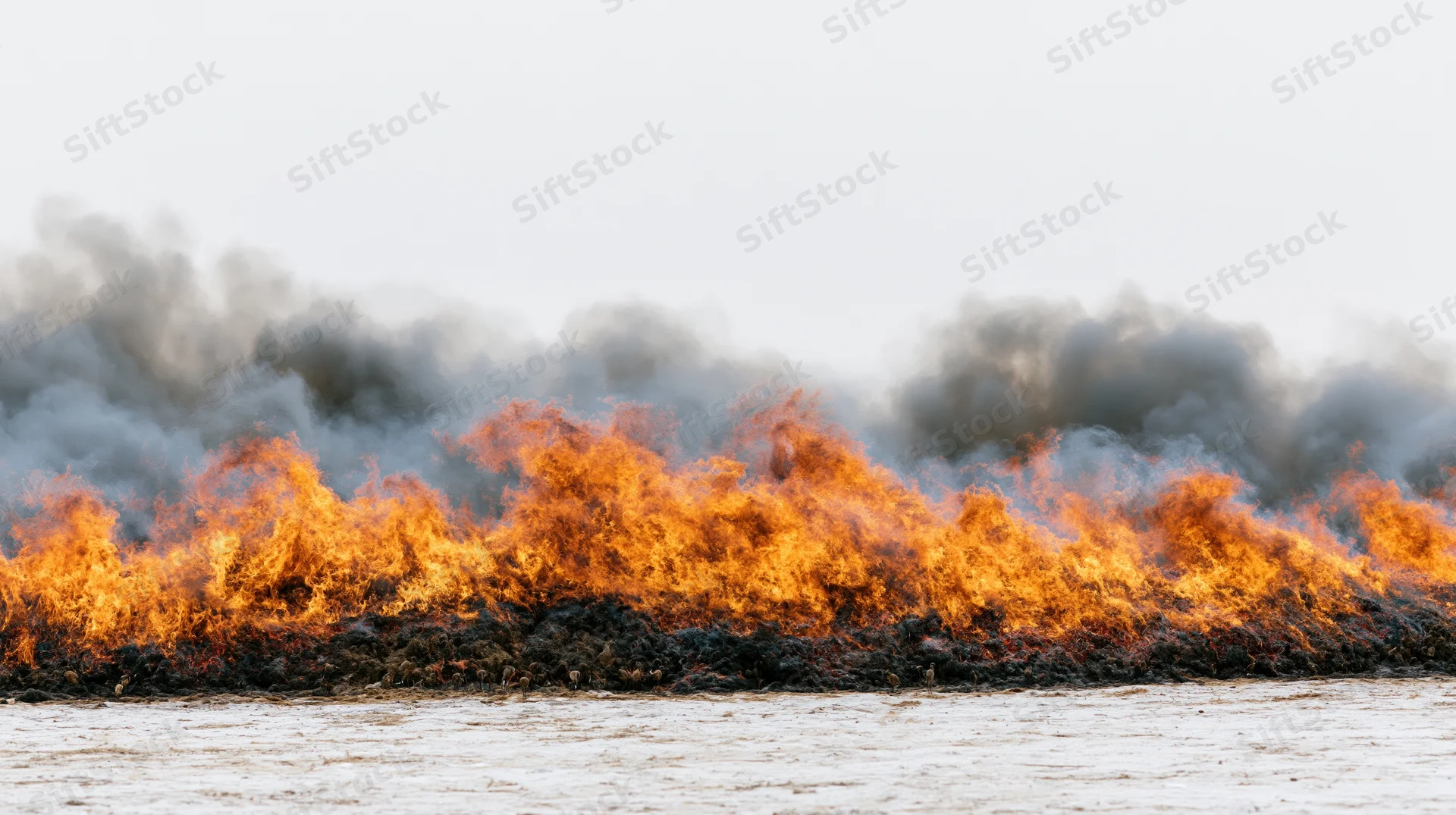 Wide horizontal spread of fire burning at ground level along a riverbank