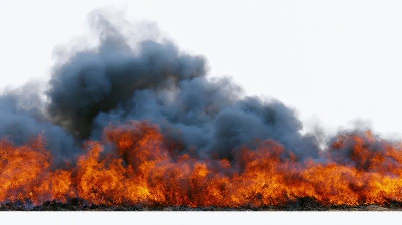 Intense flames and thick smoke rising from a burning open field