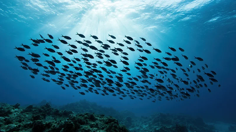 Large school of silhouetted fish swimming upward toward sunlight in deep ocean above coral reef