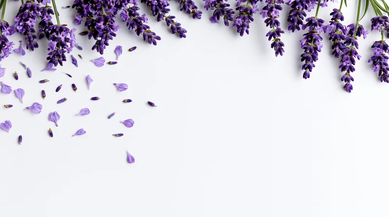 Lavender sprigs arranged along the top edge with scattered petals on a white surface