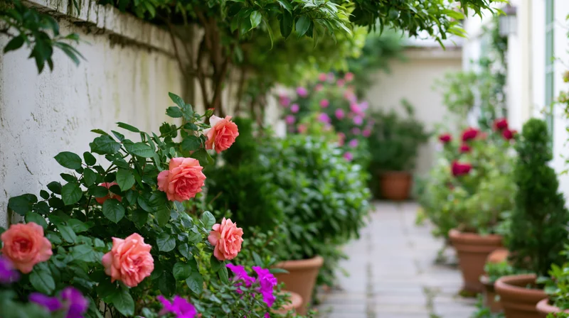 Blooming roses and potted plants lining a stone pathway in a garden courtyard