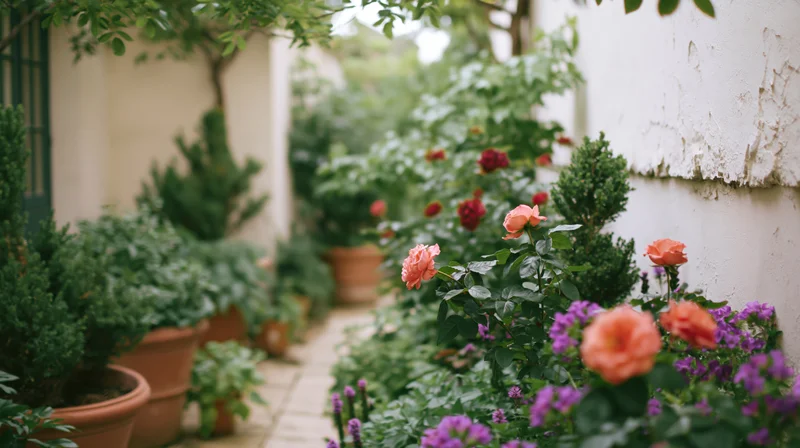 Garden pathway lined with potted plants and blooming roses flanked by greenery and white stucco walls