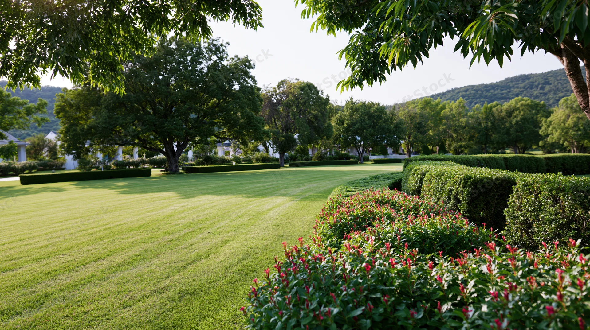 Manicured green lawn curving through a garden with trees, shrubs and flowering bushes under sunlight