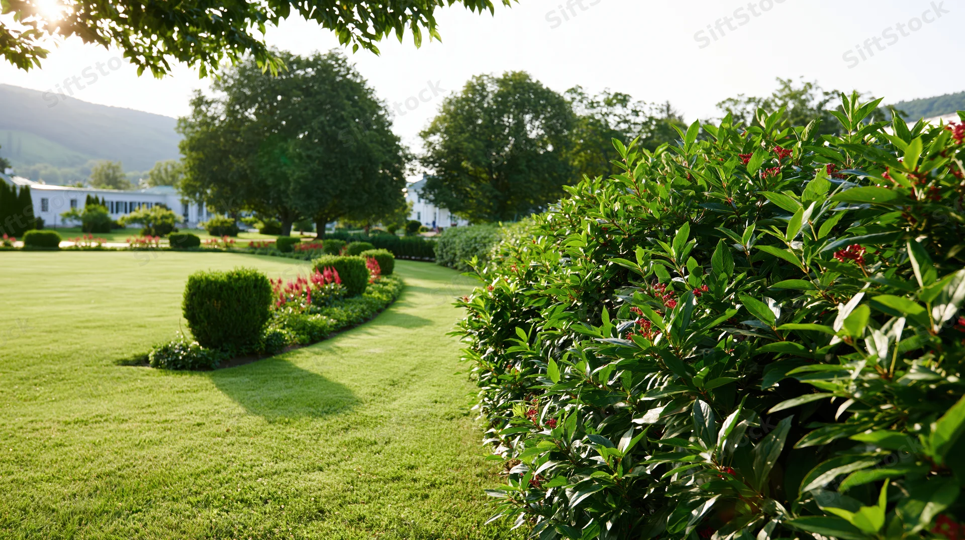 Manicured garden with sweeping green lawn curving past hedges and shrubs toward a white house in the distance
