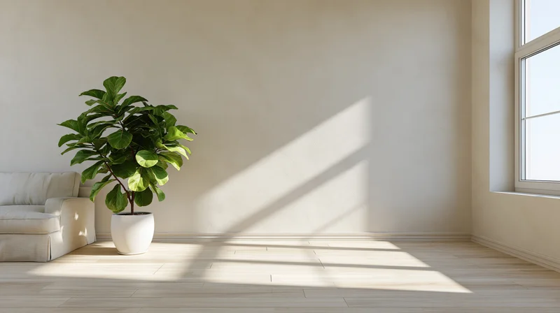Minimalist living room with fiddle leaf fig plant and sunlight streaming through window onto hardwood floor