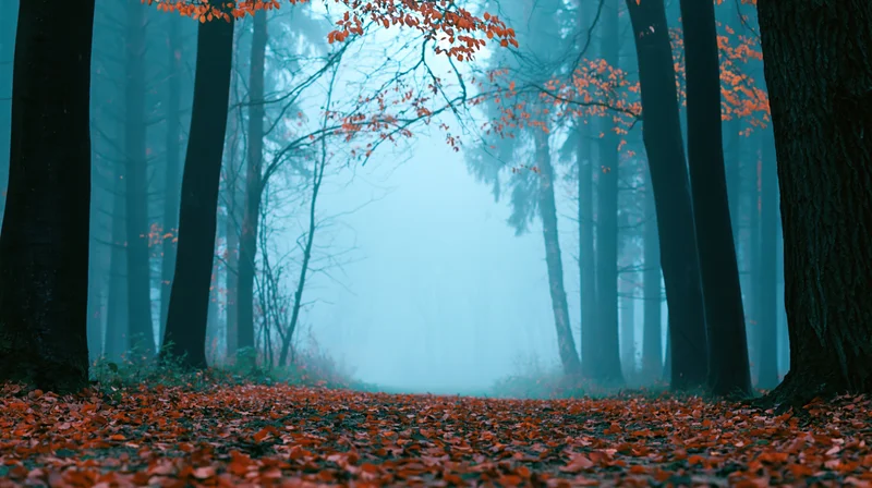 Misty autumn forest path lined with tall dark trees and orange fallen leaves