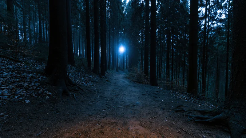 Narrow dirt path winding through dense forest at night with a glowing light ahead