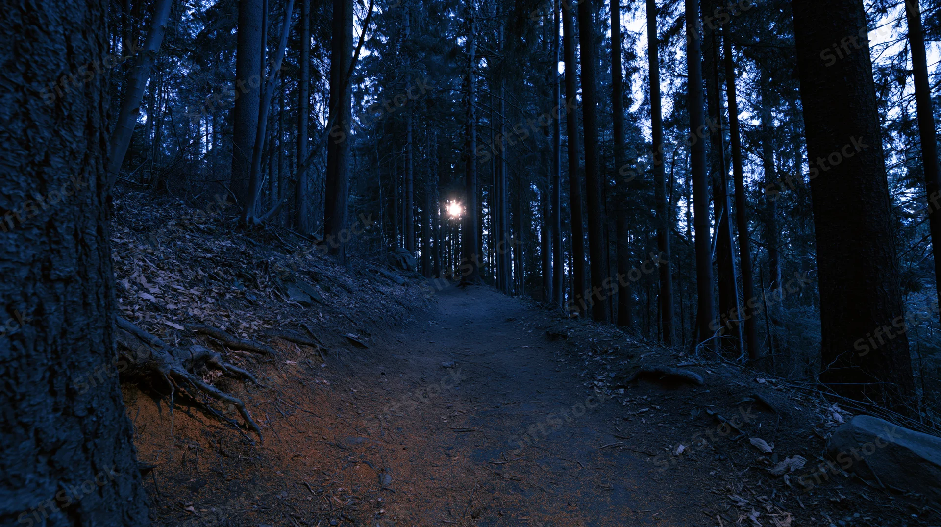 Narrow dirt path winding through dense forest at night, illuminated by distant light