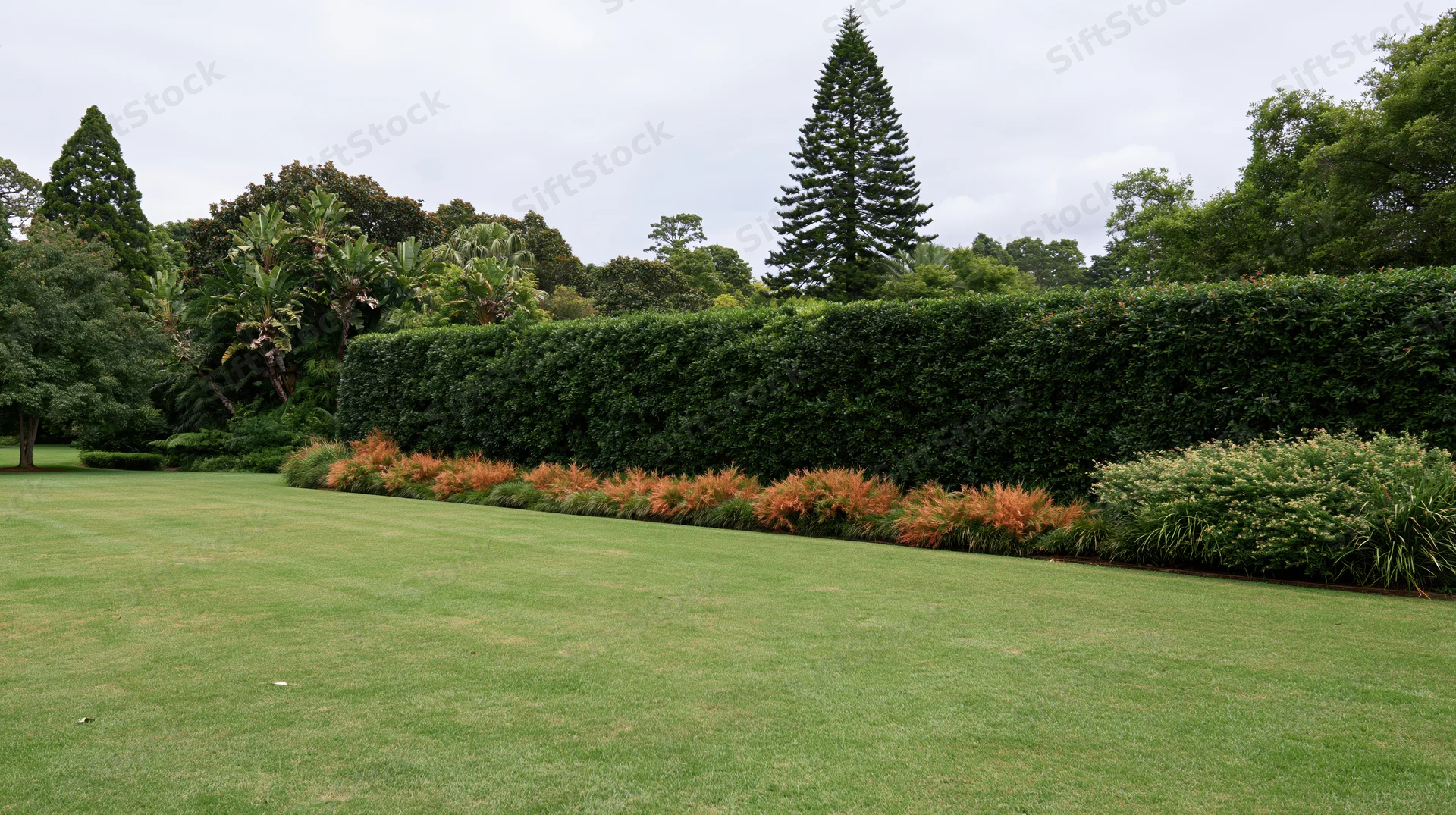 Wide view of a manicured lawn bordered by a dense hedge and assorted trees in a formal garden