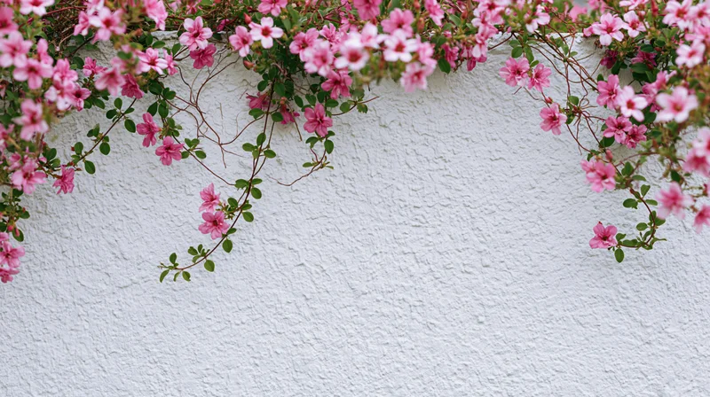 Pink climbing flowers with green leaves cascading along a white textured wall