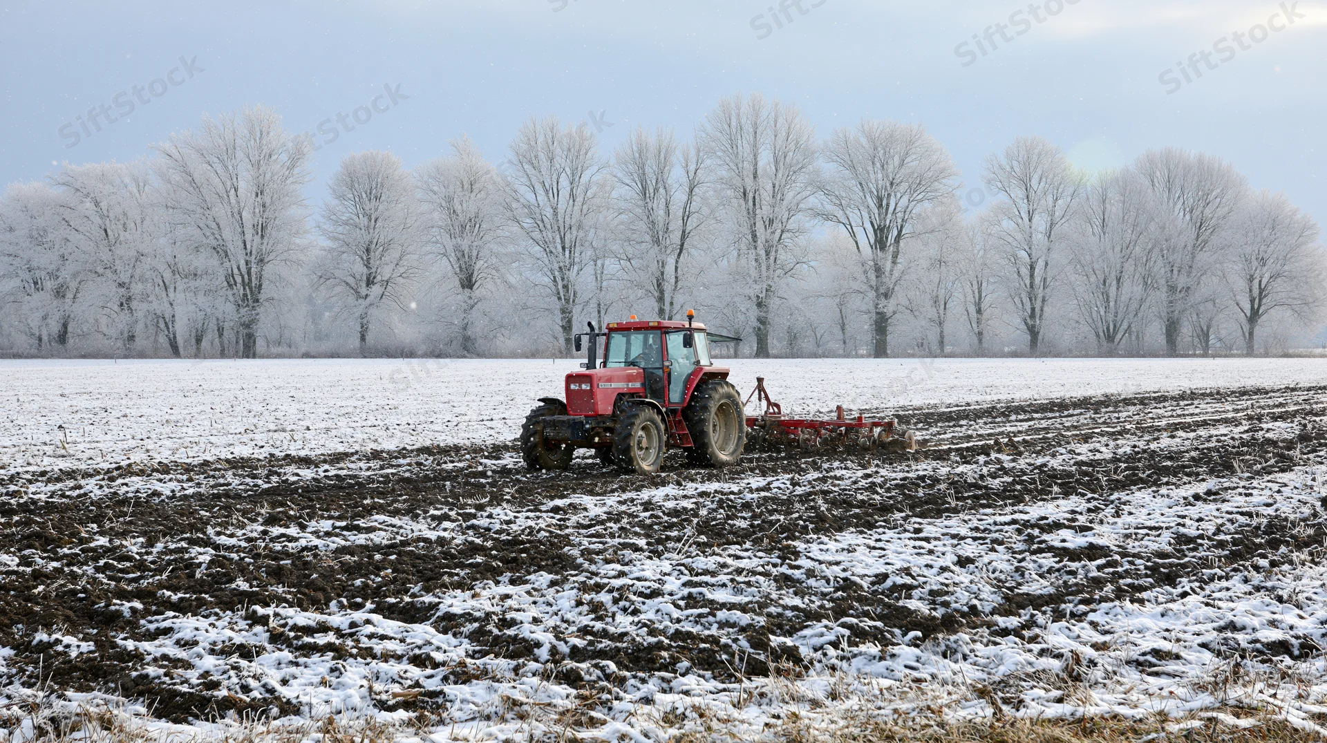 Red tractor pulling tillage implement across snow-covered field in winter