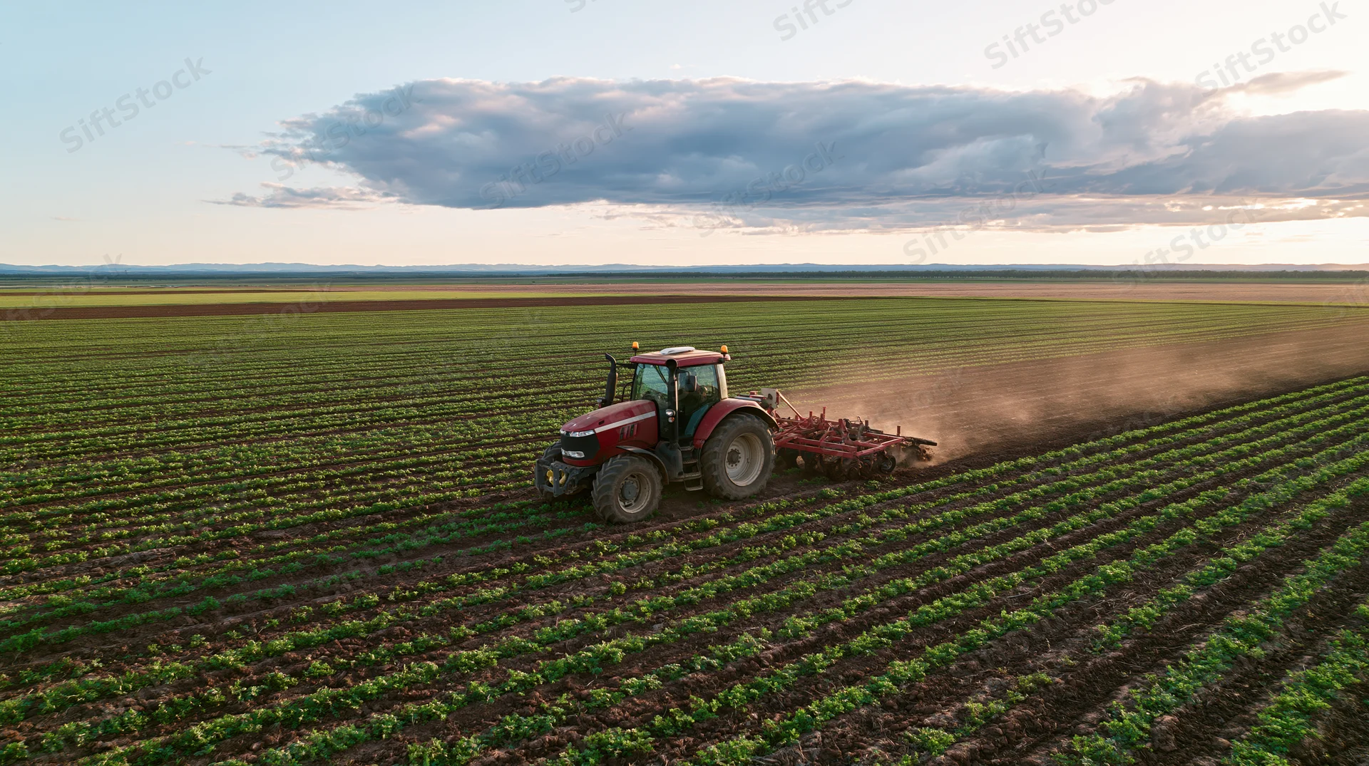 Red tractor pulling cultivation equipment across a vast field