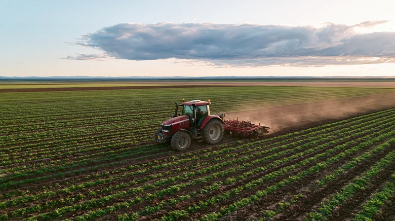 Red tractor pulling cultivation equipment across a vast field