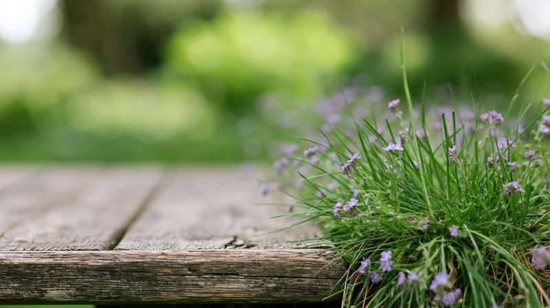 Weathered wooden table edge with lavender flowers growing beside it in a garden setting
