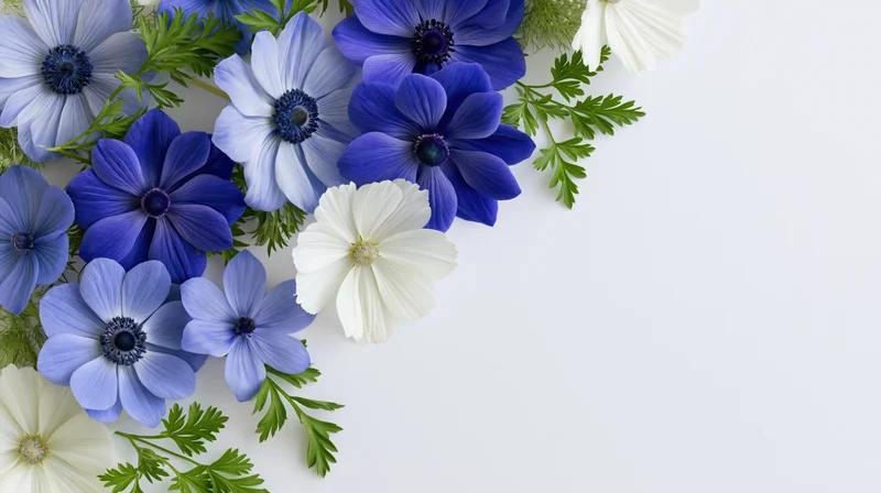 Blue and white anemone and cosmos flowers with green foliage arranged in a flat lay on a light background with copyspace