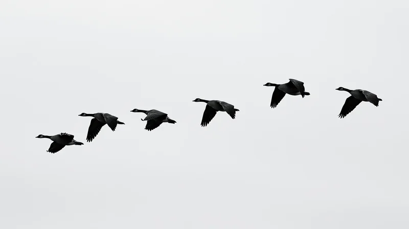 Seven geese flying in v-formation against a white sky