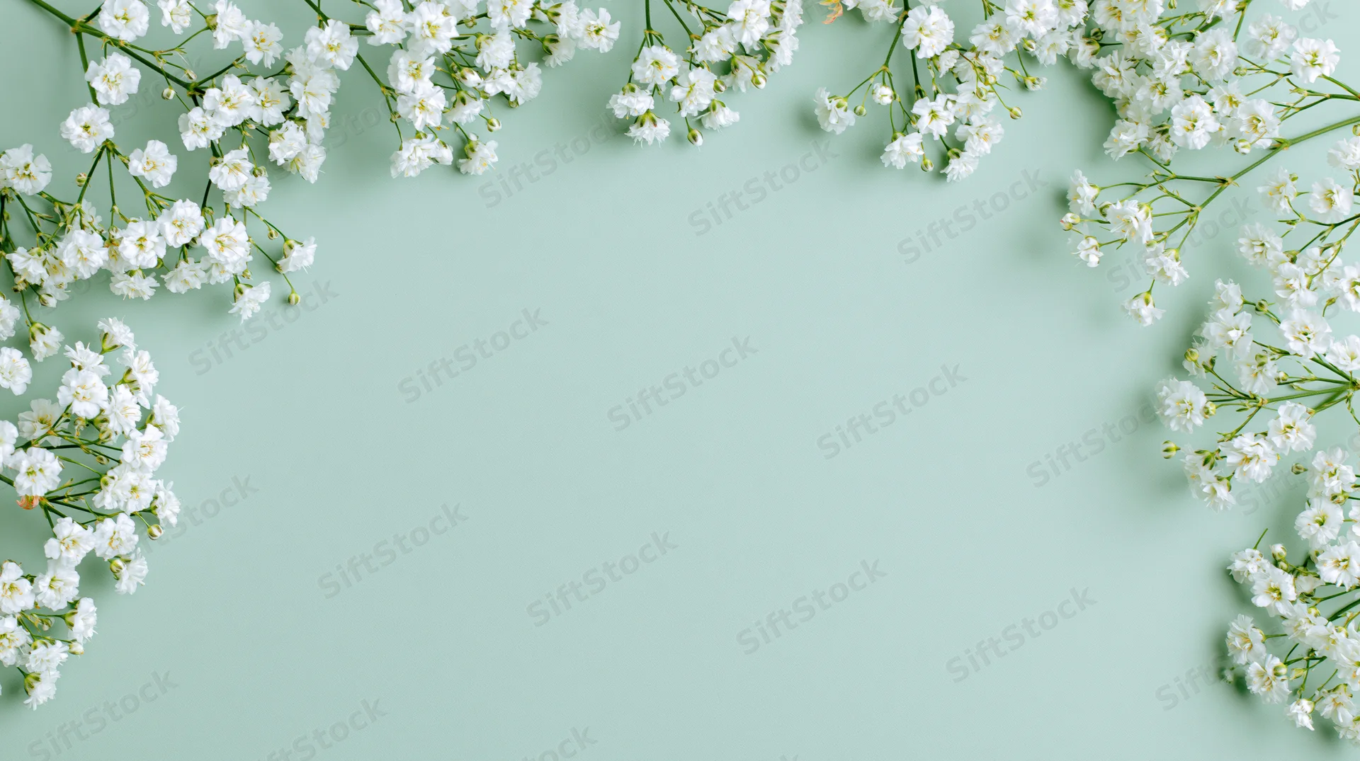 White gypsophila sprigs arranged along the edges of a mint green background with central copyspace