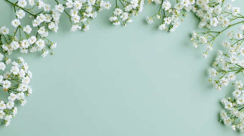 White gypsophila sprigs arranged along the edges of a mint green background with central copyspace