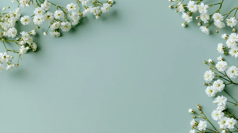 White gypsophila sprigs arranged along the edges of a mint green surface creating a floral border with central copyspace