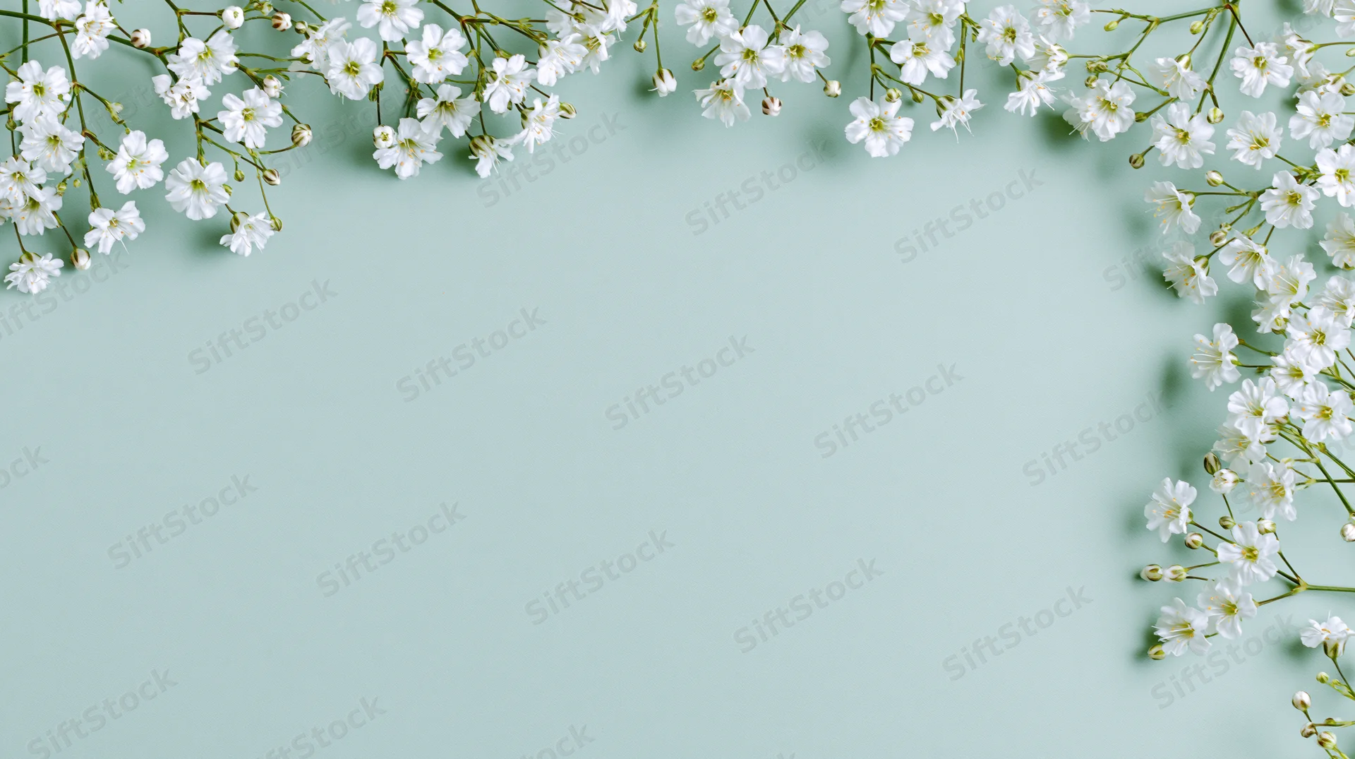 White gypsophila sprigs arranged along the top and right edges of a mint green background