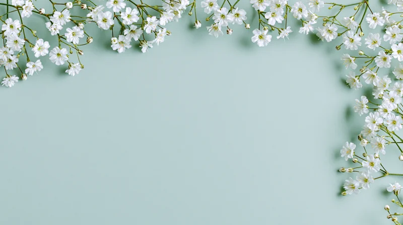 White gypsophila sprigs arranged along the top and right edges of a mint green background