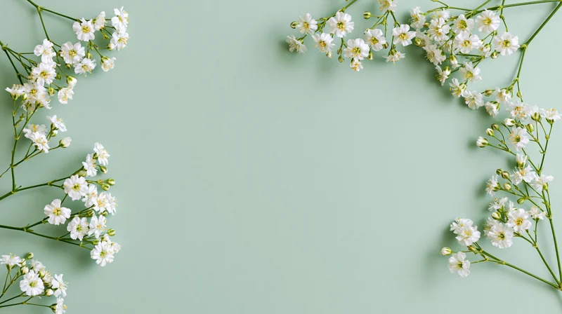 White gypsophila sprigs arranged along the edges of a mint green background with central copyspace