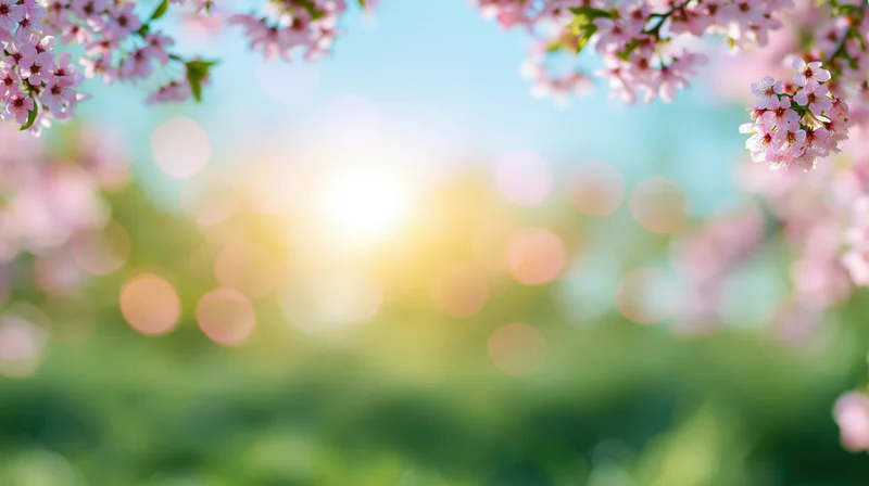 Cherry blossom branches framing a soft bokeh spring background with sunlight and greenery