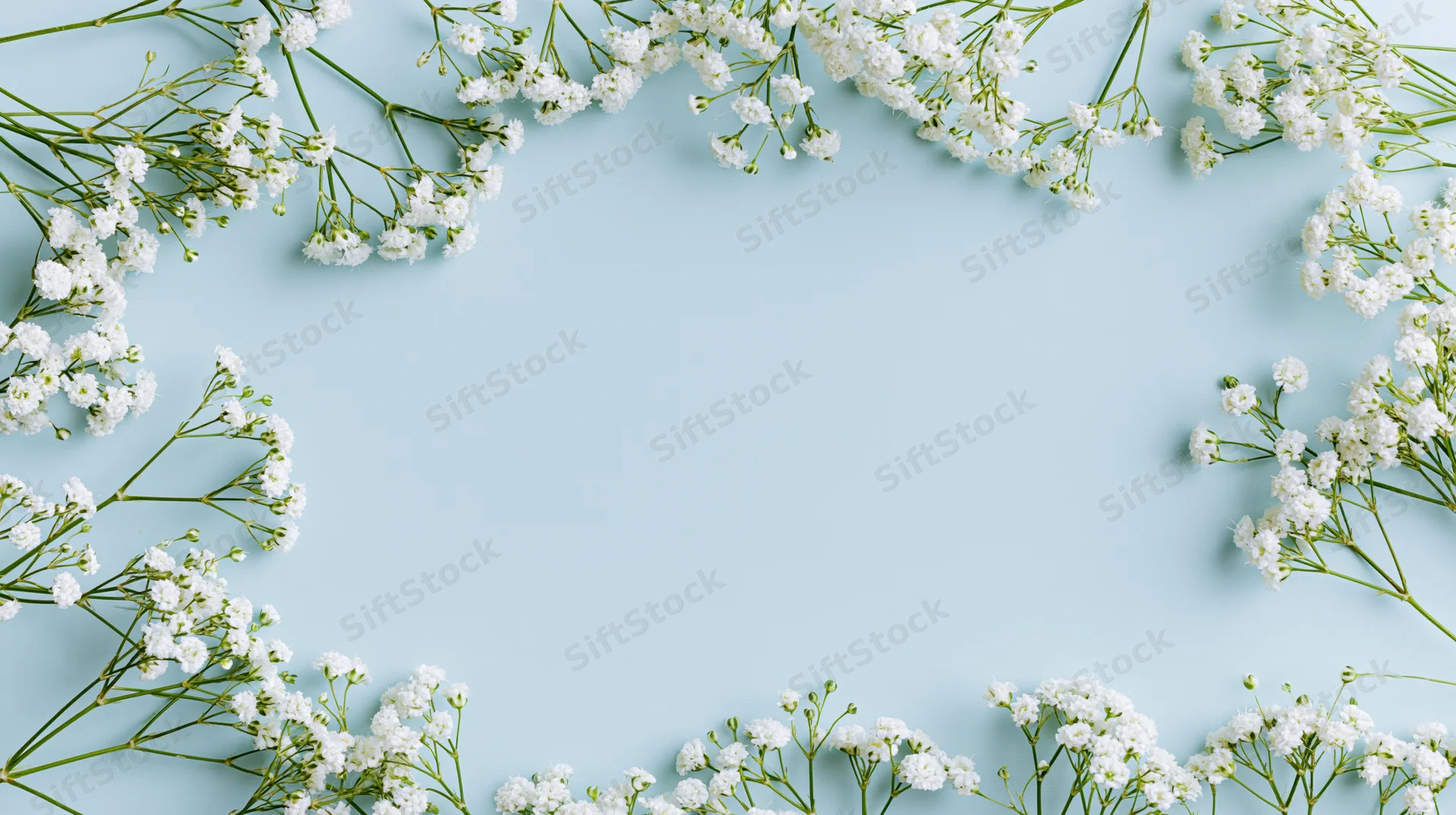 White gypsophila sprigs arranged as a border on a light blue surface with copyspace