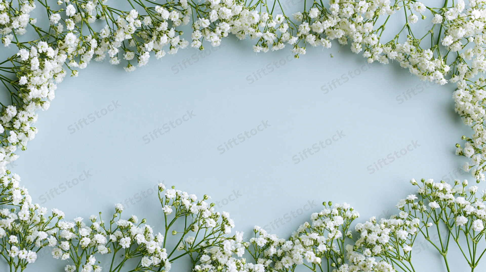 White gypsophila sprigs arranged as a border on a light blue surface with copyspace