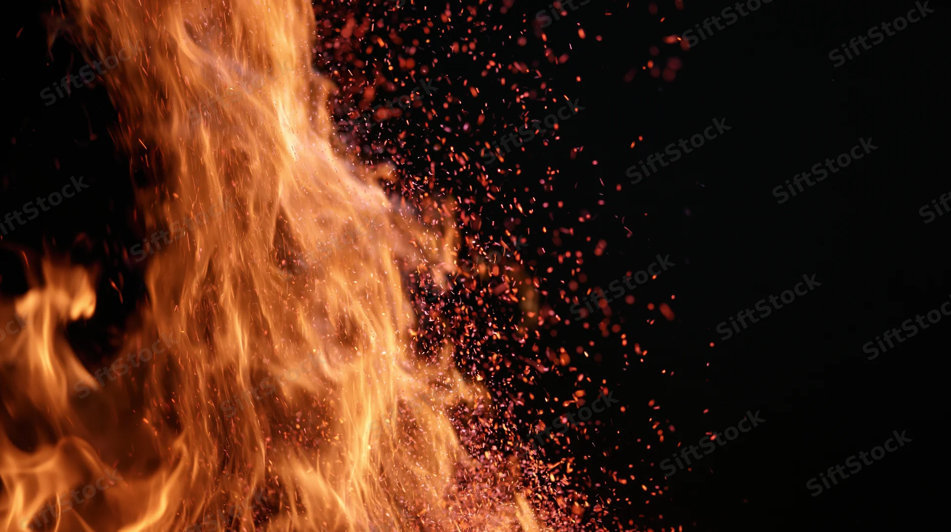 Tall flames and glowing embers rising against a black background