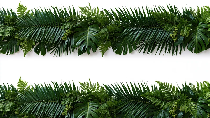 Two horizontal bands of dense tropical foliage with palm fronds and monstera leaves forming a border against white background