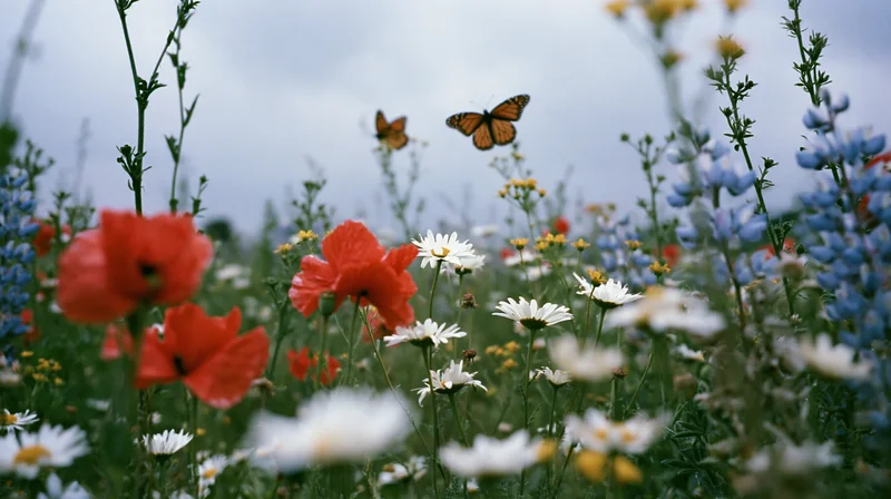 Monarch butterflies hovering among colorful wildflowers in a meadow