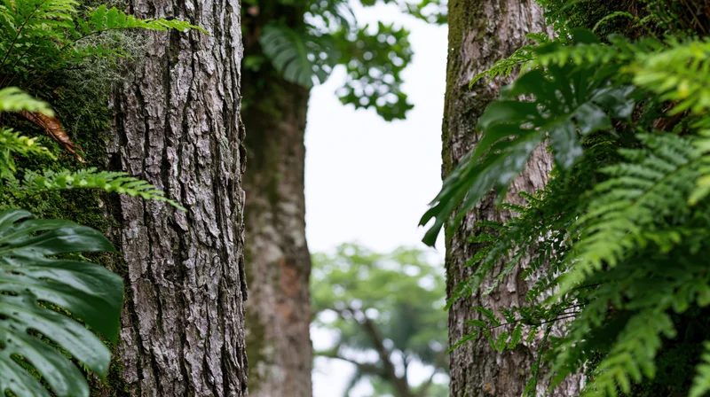 Two tropical tree trunks with lush jungle foliage framing the view