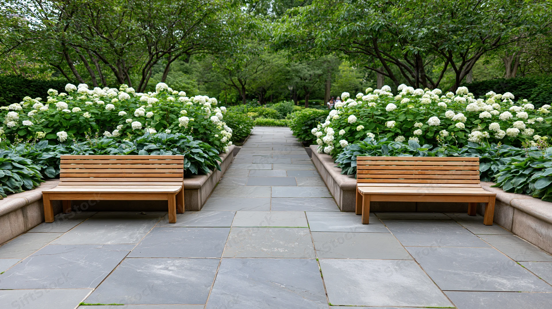Two wooden benches flanking a wide flagstone pathway in a garden setting