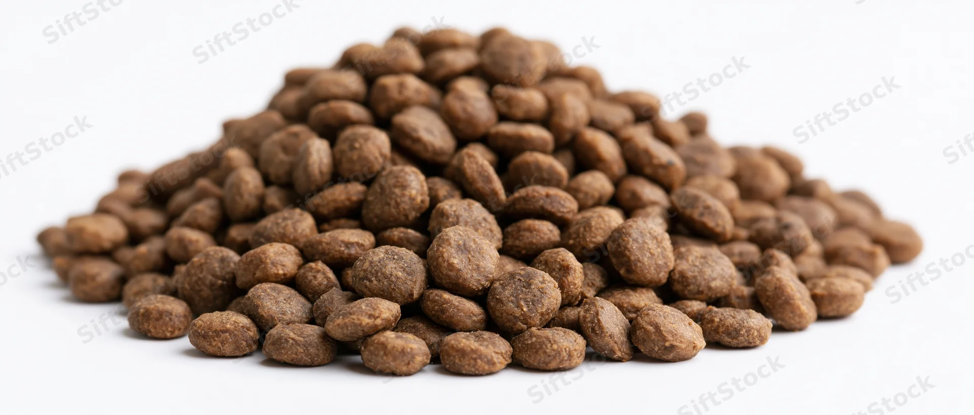Heap of dry pet food kibble on plain white surface