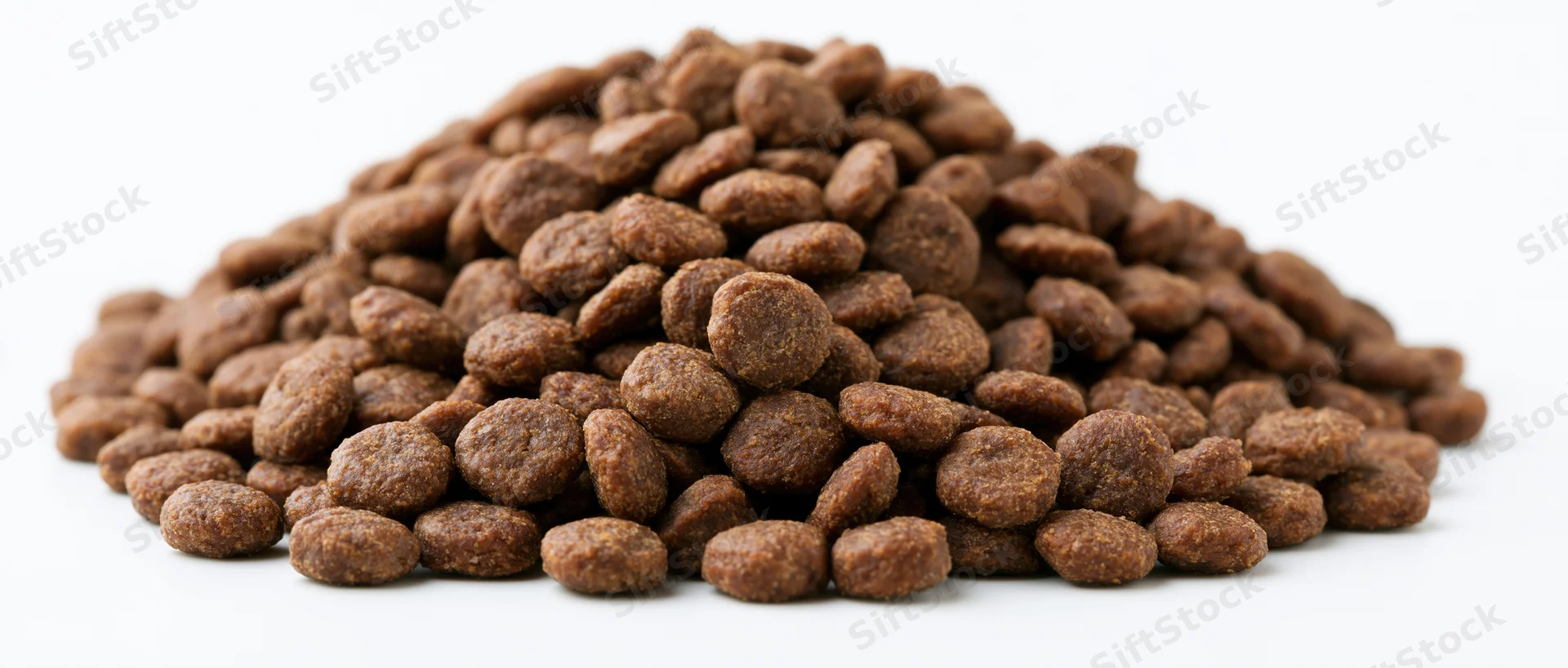 Heap of dry pet food kibble on white background