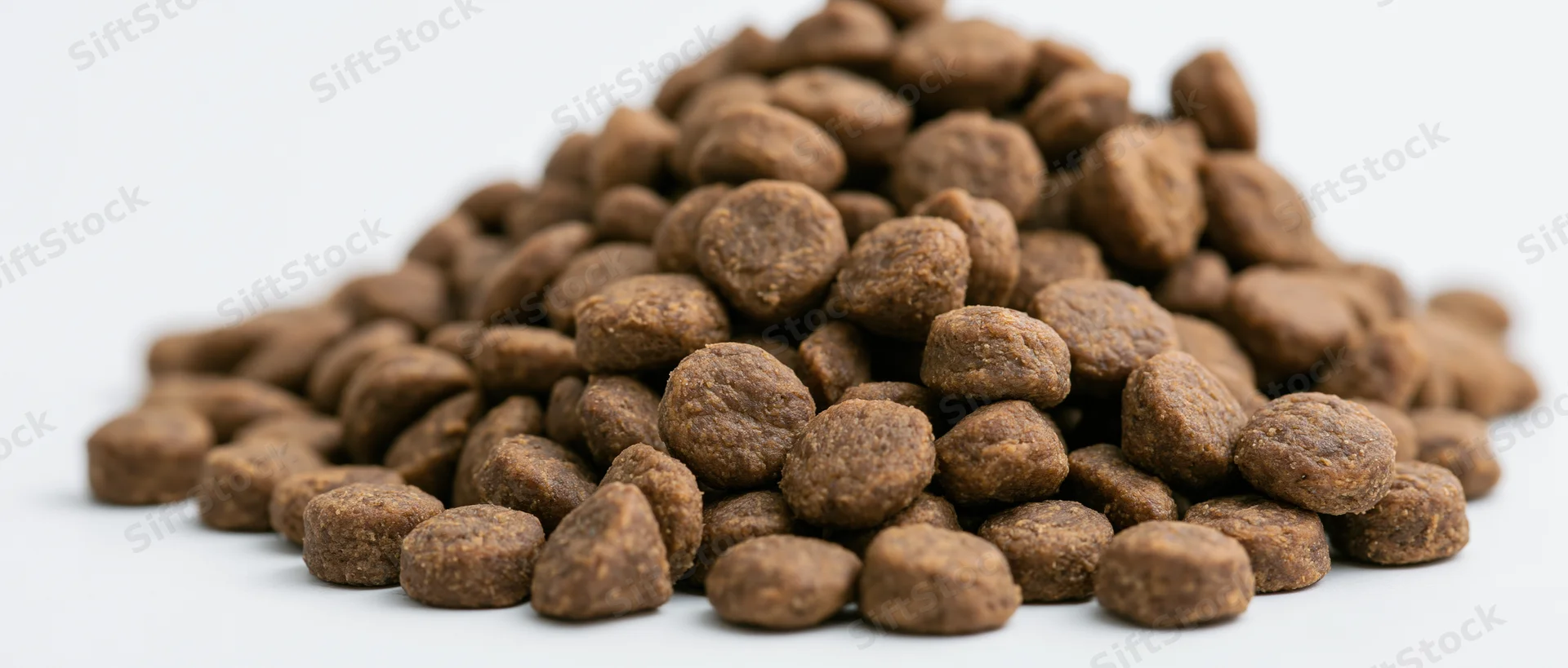 Pile of dry pet food kibble on white background