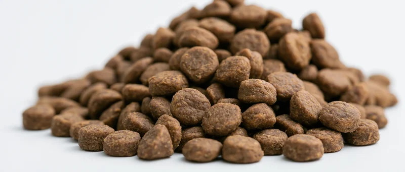 Pile of dry pet food kibble on white background