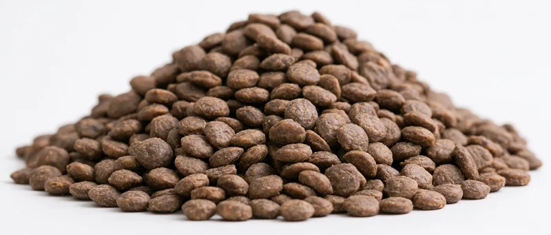 Heap of dry pet food kibble on white background