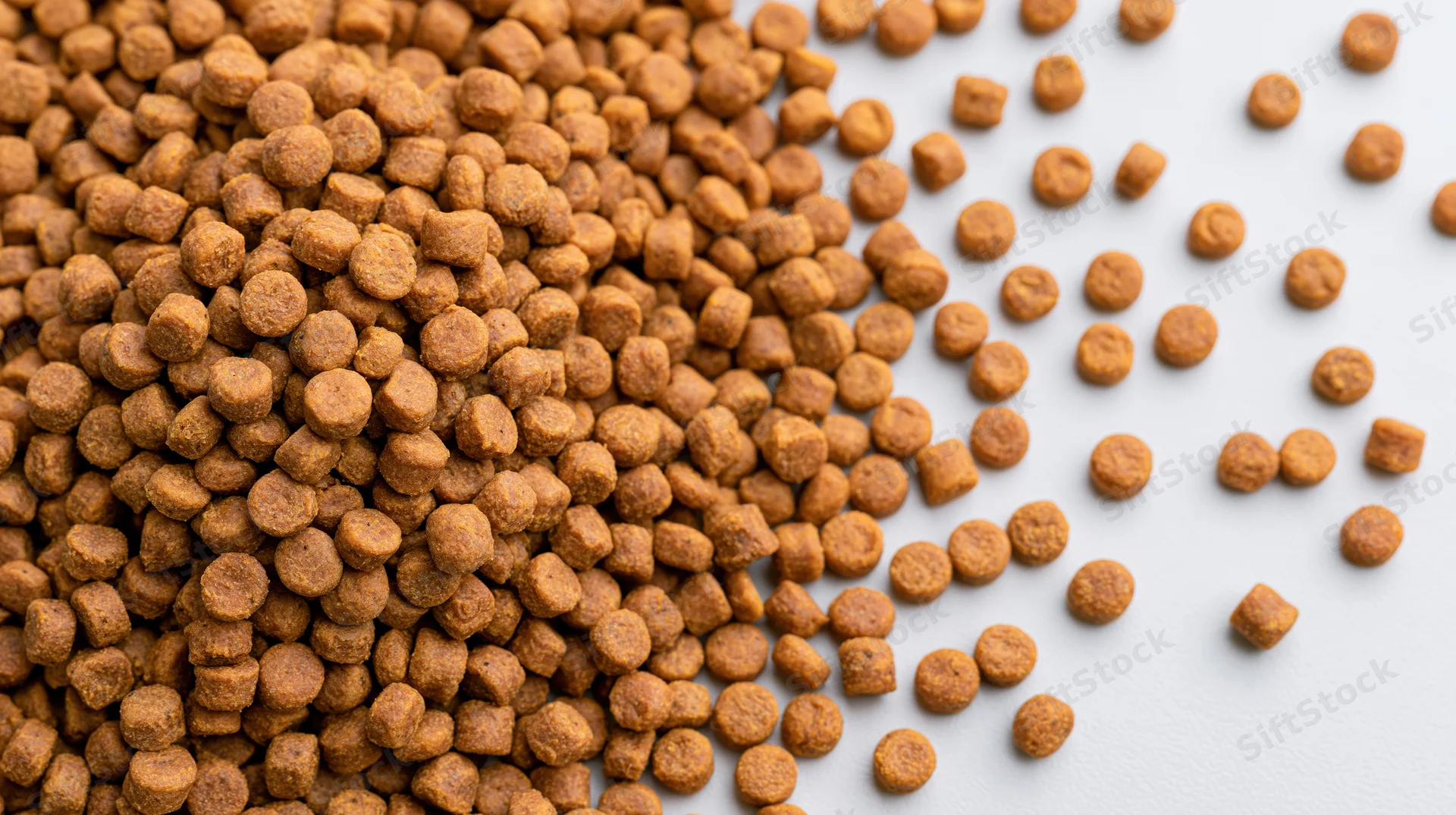 Dry pet food kibble scattered across a white surface with copyspace on the right