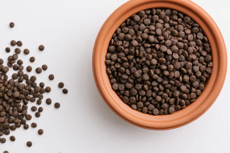 Dry kibble in a terracotta bowl on white surface with scattered pieces beside it