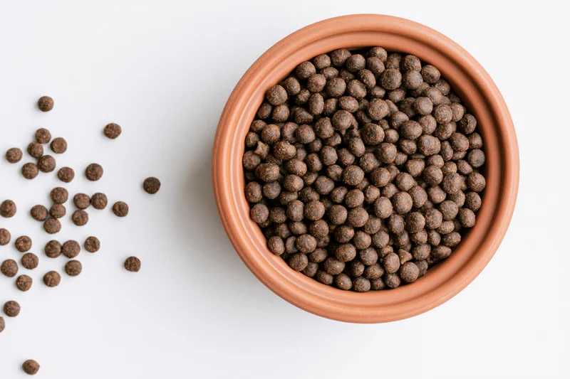 Terracotta bowl filled with dry pet kibble on white surface with scattered pieces beside it