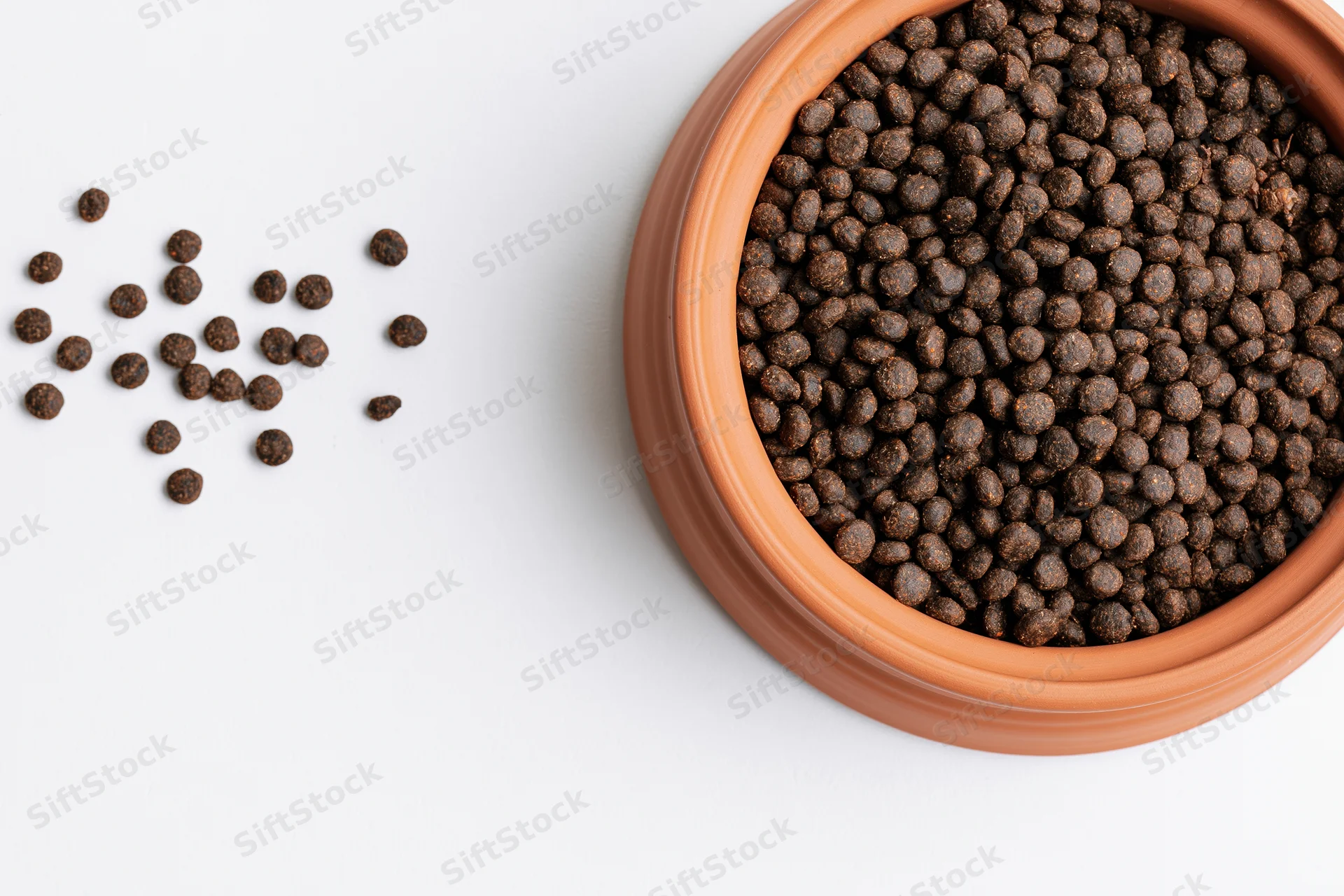Terracotta pet bowl filled with dry brown kibble on white surface with scattered pieces nearby