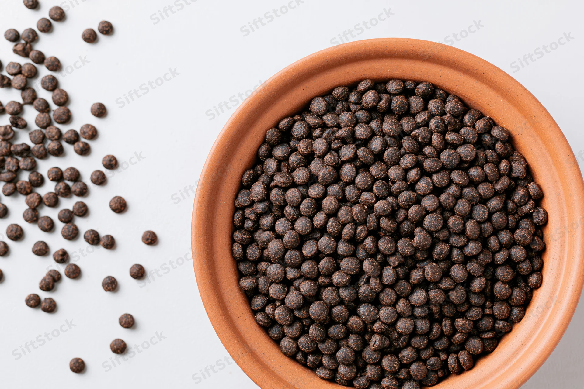Terracotta bowl filled with dry brown kibble for pets on white surface