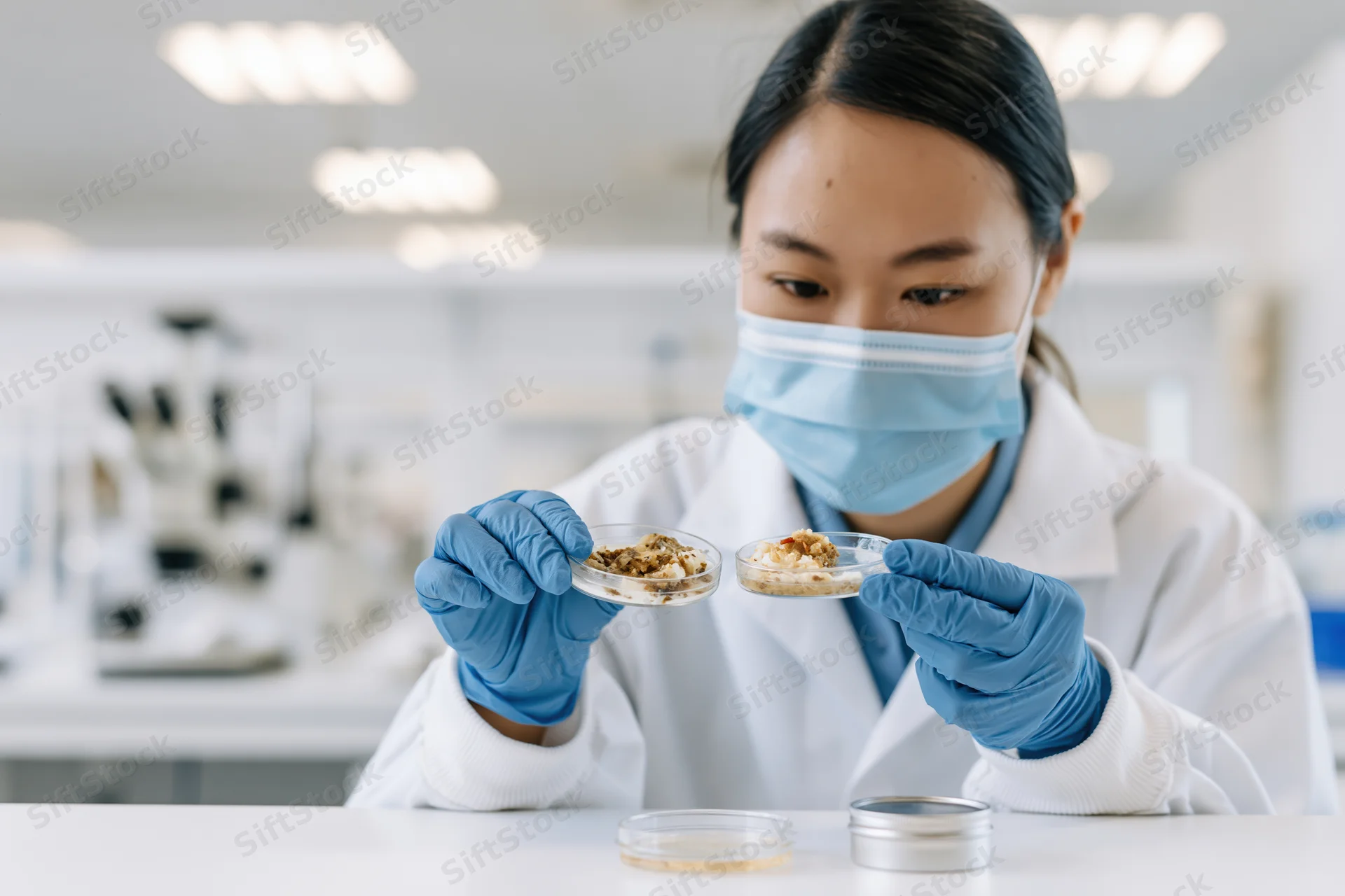 Asian woman scientist examining food samples in petri dishes in a laboratory