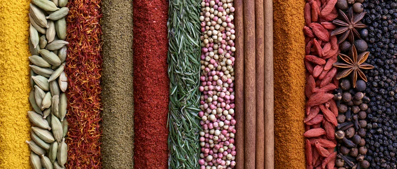 Vertical arrangement of whole and ground spices in colorful rows, flat lay view