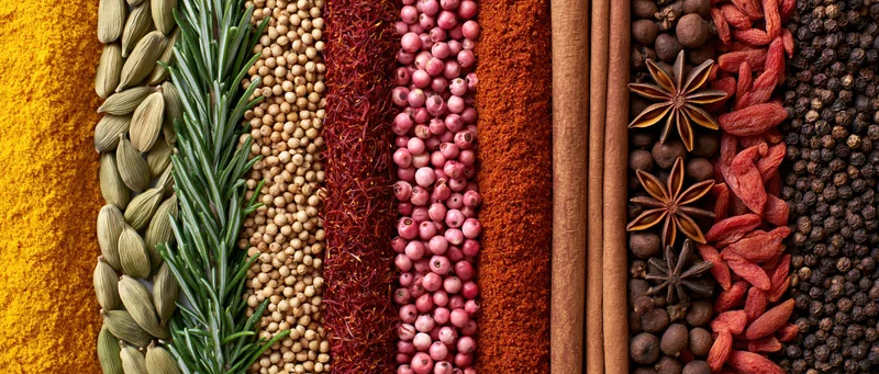 Vertical arrangement of assorted whole and ground spices in neat rows