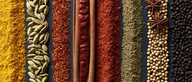 Vertical rows of assorted whole and ground spices arranged on dark surface