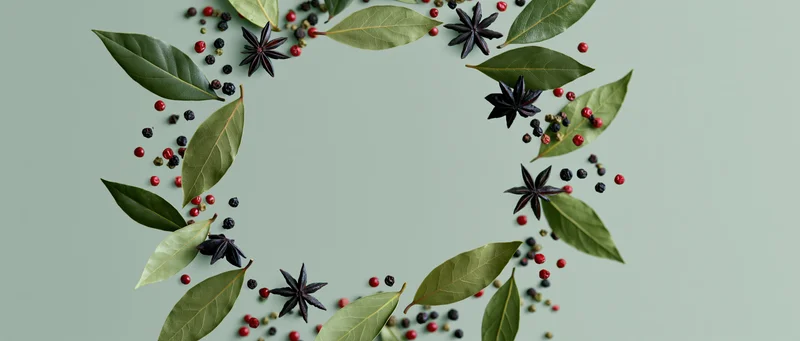 Bay leaves, star anise and peppercorns arranged in a circular frame on a light green background with copyspace