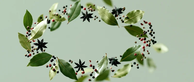 Bay leaves, star anise, and mixed peppercorns floating mid-air against a light green background